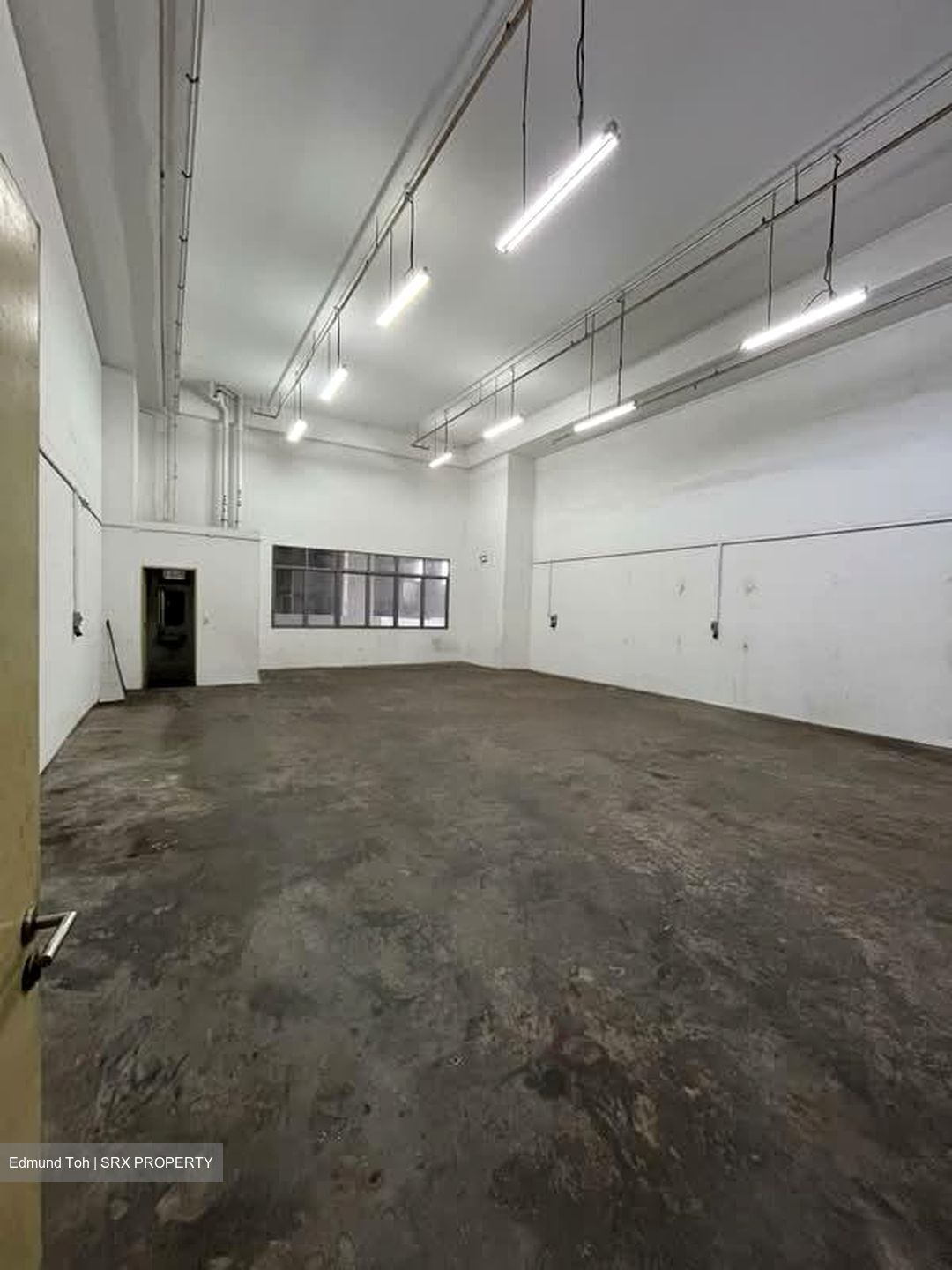 North Spring Bizhub (D27), Factory #590635221
